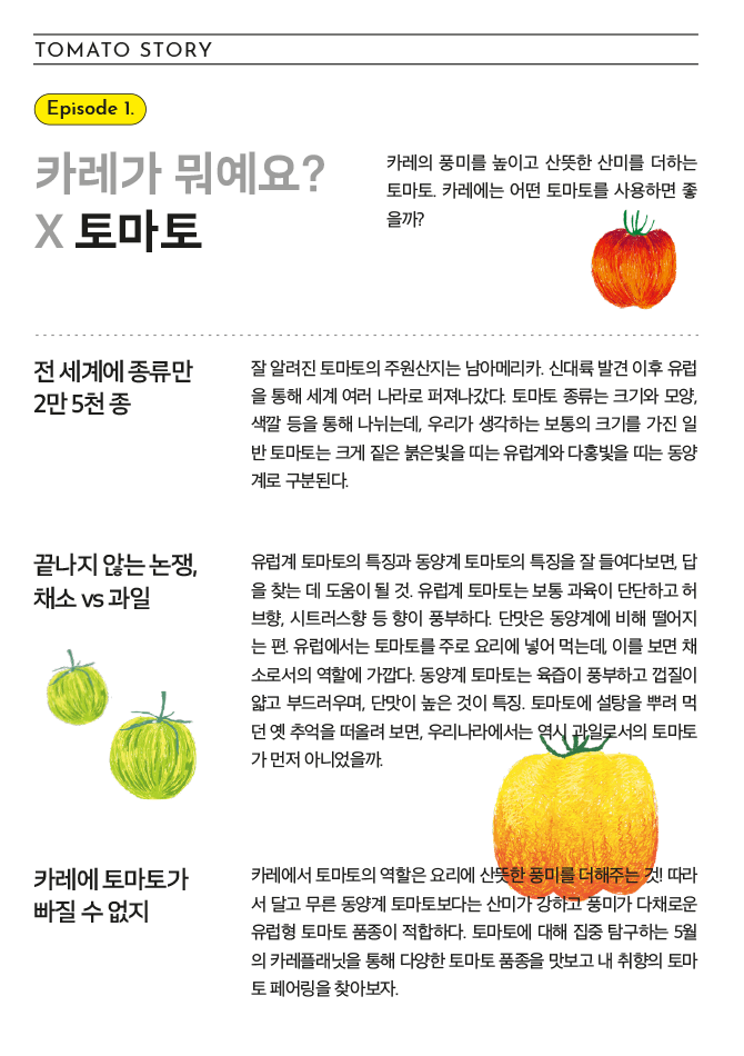 TOMATO STORY 카레가 뭐예요? x 토마토 카레의 풍미를 높이고 산뜻한 산미를 더하는 토마토. 카레에는 어떤 토마토를 사용하면 좋을까? 전세계에 종류만 2만 5천 종 잘 알려진 토마토의 주원산지는 남아메리카. 신대륙 발견 이후 유럽을 통해 세계 여러 나라로 퍼져나갔다. 토마토 종류는 크기와 모양, 색깔 등을 통해 나눴는데, 우리가 생각하는 보통의 크기를 가진 일반 토마토는 크게 짙은 붉은빛을 띠는 유럽계와 다홍빛을 띠는 동양계로 구분된다. 끝나지 않는 논쟁, 채소 vs 과일 유럽계 토마토의 특징와 동양계 토마토의 특징을 잘 들여다보면, 답을 찾는 데 도움이 될 것. 유럽계 토마토는 보통 과육이 단단하고 허브향, 시트러스향 등 향이 풍부하다. 단맛은 동양계에 비해 떨어지는 편. 유럽에서는 토마토를 주로 요리에 넣어 먹는데, 이를 보면 채소로서의 역할에 가깝다. 동양계 토마토는 육즙이 풍부하고 껍질이 얇고 부드러우며, 단맛이 높은 것이 특징. 토마토에 설탕을 뿌려 먹던 옛 추억을 떠올려 보면, 우리나라에서는 역시 과일로서의 토마토가 먼저 아니었을까. 카레에 토마토가 빠질 수 없지 카레에서 토마토의 역할은 요리에 산뜻한 풍미를 더해주는 것! 따라서 달고 무른 동양계 토마토보다는 산미가 강하고 풍미가 다채로운 유럽형 토마토 품종이 적합하다. 토마토에 대한 집중 탐구하는 5월의 카레플래닛을 통해 다양한 토마토 품종을 맛보고 내 취향의 토마토 페어링을 찾아보자.