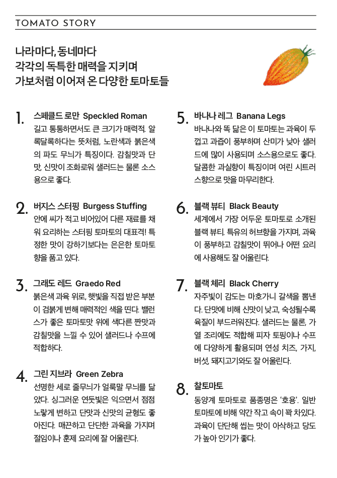 TOMATO STORY 나라마다, 동네마다 각각의 독특한 매력을 지키며 가보처럼 이어져 온 다양한 토마토들 1. 스페클드 로만 Speckled Roman 길고 통통하면서도 큰 크기가 매력적. 알록달록하다는 뜻처럼, 노란색과 붉은색의 파도 무늬가 특징이다. 감칠맛과 단맛, 신맛이 조화로워 샐러드는 물론 소스용으로 좋다. 2. 버지스 스터핑 Burgess Stuffing 안에 씨가 적고 비어있어 다른 재료를 채워 요리하는 스터핑 토마토의 대표격! 특정한 맛이 강하기보다는 은은한 토마토향을 품고 있다. 3. 그래도 레드 Geaedo Red 붉은색 과육 위로, 햇빛을 직접 받은 부분이 검붉게 변해 매력적인 색을 띤다. 밸런스가 좋은 토마토맛 위에 색다른 짠맛과 감칠맛을 느낄 수 있어 샐러드나 수프에 적합하다. 4. 그린 지브라 Green Zebra 선명한 세로 줄무늬가 얼룩말 무늬를 닮았다. 싱그러운 연둣빛은 익으면서 점점 노랗게 변하고 단맛과 신맛의 균형도 좋아진다. 매끈하고 단단한 과육을 가지며 절임이나 훈제 요리에 잘 어울린다. 5. 바나나 레그 Banana Legs 바나나와 똑 닮은 이 토마토는 과육이 두껍고 과즙이 풍부하며 산미가 낮아 샐러드에 많이 사용되며 소스용으로도 좋다. 달콤한 과실향이 특징이며 여린 시트러스향으로 맛을 마무리한다. 6. 블랙 뷰티 Black Beauty 세계에서 가장 어두운 토마토로 소개된 블랙 뷰티. 특유의 허브향을 가지며, 과육이 풍부하고 감칠맛이 뛰어나 어떤 요리에 사용해도 잘 어울린다. 7. 블랙 체리 Black Cherry 자주빛이 감도는 마호가니 갈색을 뽐낸다. 단맛에 비해 신맛이 낮고, 숙성될수록 육질이 부드러워진다. 샐러드는 물론, 가열 조리에도 적합해 피자 토핑이나 수프에 다양하게 활용되며 연성 치즈, 가지, 버섯, 돼지고기와도 잘 어울린다. 8. 찰토마토 동양계 토마토로 품종명은 '호용'. 일반 토마토에 비해 약간 작고 속이 꽉 차있다. 과육이 단단해 씹는 맛이 아삭하고 당도가 높아 인기가 좋다.