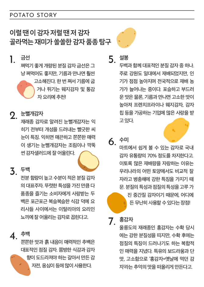 POTATO STORY 이럴 땐 이 감자, 저럴 땐 저 감자 골라먹는 재미가 쏠쏠한 감자 품종 탐구 1. 금선 쪄먹기 좋게 개량된 분질 감자 금선은 그냥 쪄먹어도 좋지만, 기름과 만나면 훨씬 고소해진다. 한 번 쪄서 기름에 굽거나 튀기는 웨지감자 및 통감자 요리에 추천! 2. 눈뻘개감자 재래종 감자로 알려진 눈뻘개감자는 익히기 전부터 개성을 드러내는 빨긋한 씨눈이 특징. 익히면 매끈하고 쫀쫀한 매력이 생기는 눈뻘개감자는 조림이나 깍뚝썬 감자샐러드에 잘 어울린다. 3. 두백 전분 함량이 높고 수분이 적은 분질 감자의 대표주자. 뚜렷한 특성을 가진 만큼 다품종을 즐기는 소비자에게 사랑받는 두백은 포근포근 복슬복슬한 식감 덕에 요리사들 사이에서는 이탈리아의 요리인 뇨끼에 잘 어울리는 감자로 꼽힌다고. 4.추백 쫀쫀한 맛과 흙 내음이 매력적인 추백은 대표적인 점질 감자. 쫌방한 식감과 감자향이 도드라져야 하는 갈아서 만든 감자전, 옹심이 등에 많이 사용한다. 5. 설봉 두백과 함께 대표적인 분질 감자 중 하나. 주로 강원도 일대에서 재배되었지만, 인기가 점점 높아지며 전국적으로 재배 농가가 늘어나는 중이다. 포슬하고 부드러운 맛은 물론, 기름과 만나면 고소한 맛이 높아져 프렌치프라이나 웨지감자, 감자칩 등을 가공하는 기업에 많은 사랑을 받고 있다. 6. 수미 마트에서 쉽게 볼 수 있는 감자로 국내 감자 유통량의 70% 정도를 차지한다고. 이토록 많은 재배량을 자랑하는 이유는 우리나라의 어떤 토양에서도 비교적 잘 자라고 병충해에 강한 특징을 가지기 때문. 분질의 특성과 점질의 특성을 고루 가진 중간질 감자이기 때문에, 어디에든 무난히 사용할 수 있다는 장점! 7. 홍감자 울릉도의 재래종인 홍감자는 수확 당시에는 강한 분질성을 띠지만, 수확 후에는 점질의 특징이 드러나기도 하는 복합적인 매력을 지녔다. 특유의 보드라움과 단맛, 고소함으로 '홍감자=옛날에 먹던 감자'라는 추억의 맛을 떠올리게 만든다고.