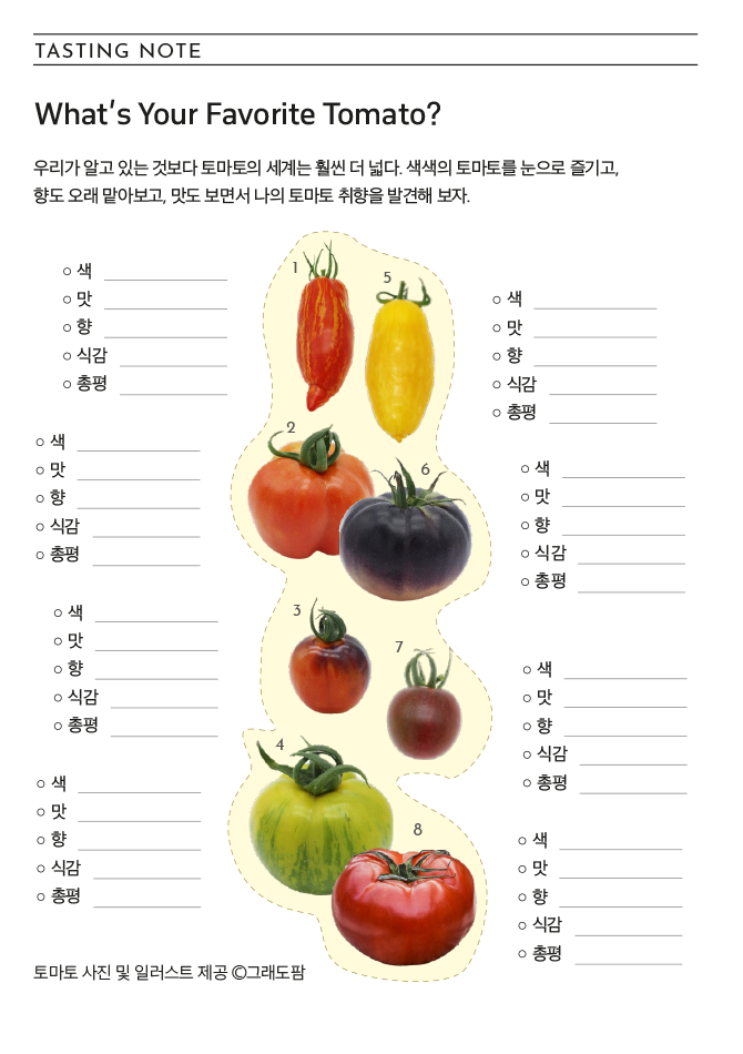 TOMATO NOTE What's Your Favorite Tomato? 우리가 알고 있는 것보다 토마토의 세계는 훨씬 더 넓다. 색색의 토마토를 눈으로 즐기고, 향도 오래 맡아보고, 맛도 보면서 나의 토마토 취향을 발견해 보자. 색, 맛, 향, 식감, 총평 토마토 사진 및 일러스트 제공 그래도팜